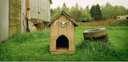 历经15年等待 Steam视频播放器终于迎来革新